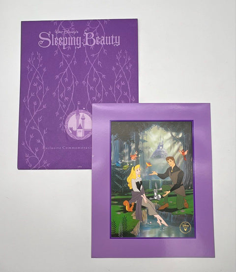 Disney Store Exclusive 1995 Lithographs Sleeping Beauty Pocahontas 11x14 2pc