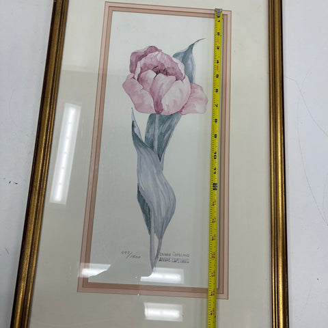 Debbie Copeland Signed Ltd Ed Print 493/1500 Tulip Floral Botanical Art Framed