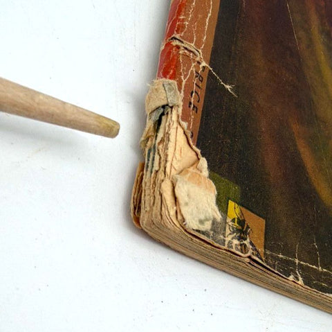 Timely Detective Cases December 1946 Timely Publications True Crime Pulp