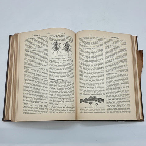 The American Educator 1927 Encyclopedia Set 6 Volumes Bellows-Durham Company