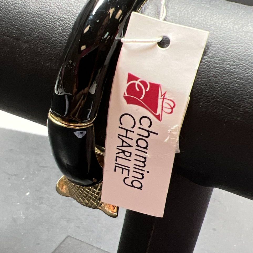 Charming Charlie Owl Bracelet NWT