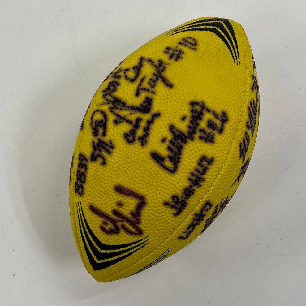 Wilson NFL Mini Football Multi-Signed Autographed Collectible Memorabilia