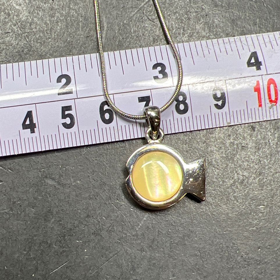Landau Fish Pendant Silver Tone Necklace