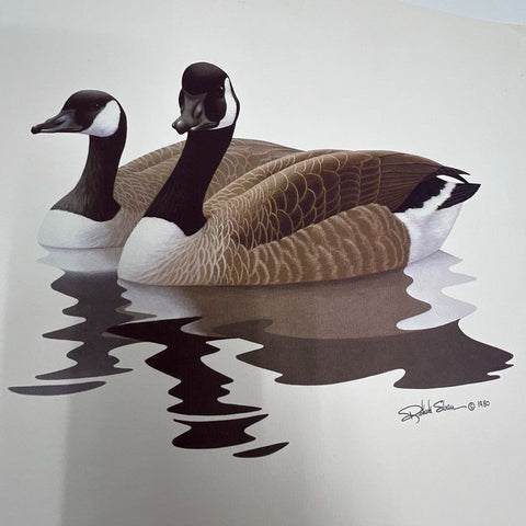 Vintage 1980 Richard Sloan Waterfowl Duck Goose Art Prints Set of 3 Lithograph