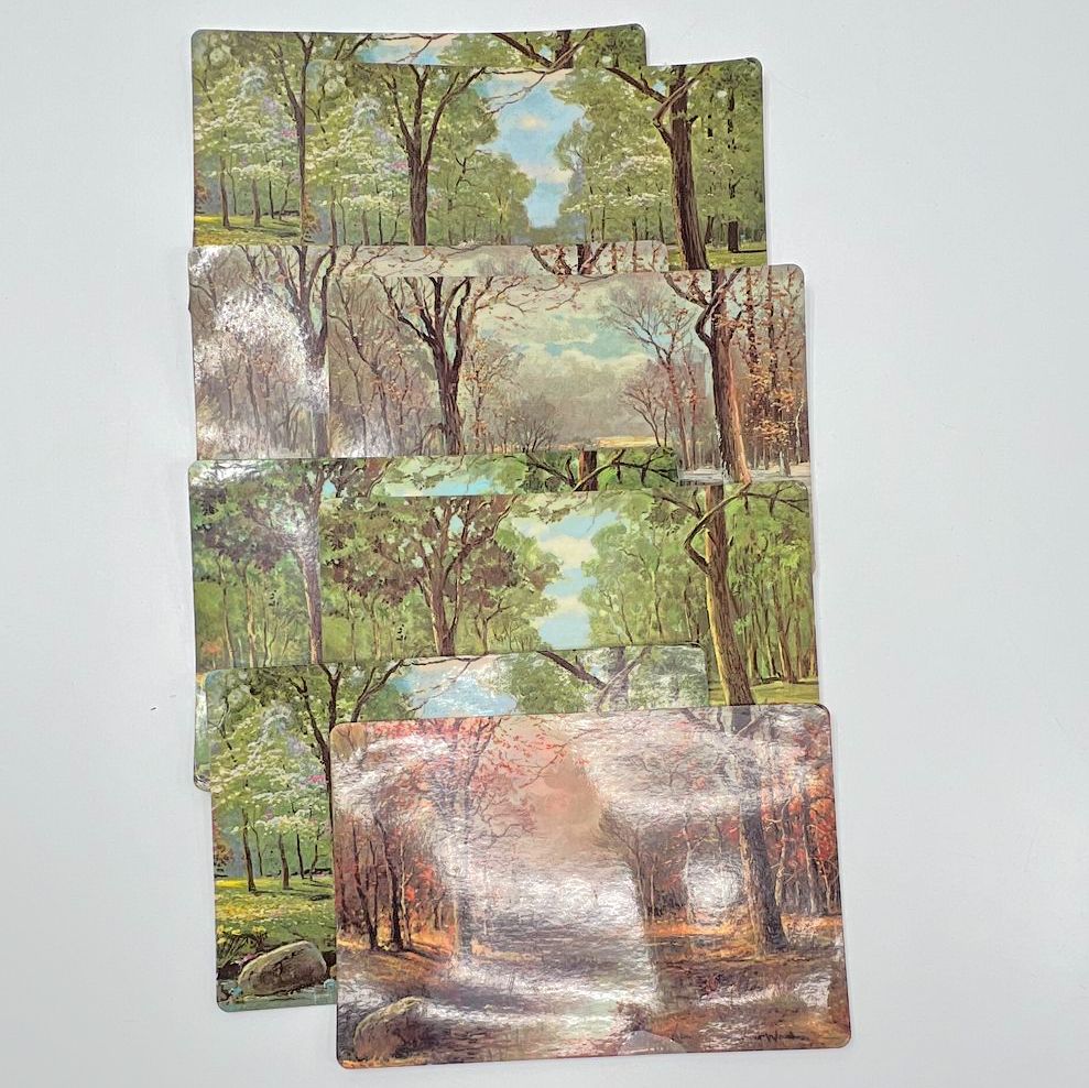 Vintage Assorted Painted Nature Scenes By Robert Wood Laminated Placemats Lot