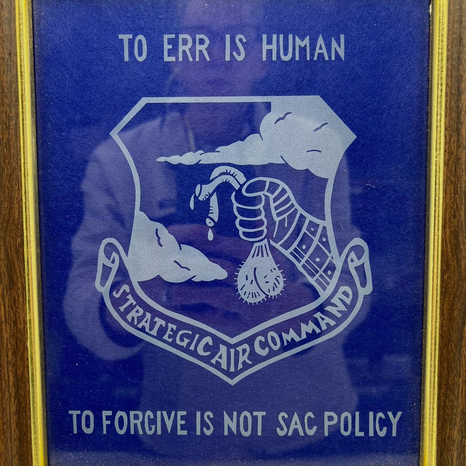 Vintage Stratcom Air Force Humor Wall Art Framed 12x10"