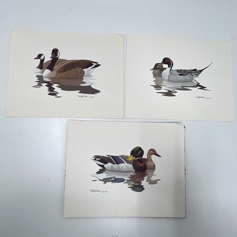 Vintage 1980 Richard Sloan Waterfowl Duck Goose Art Prints Set of 3 Lithograph