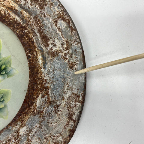 Vintage Rustic Metal Frame Succulent Botanical Print Round Wall Art 12.5"